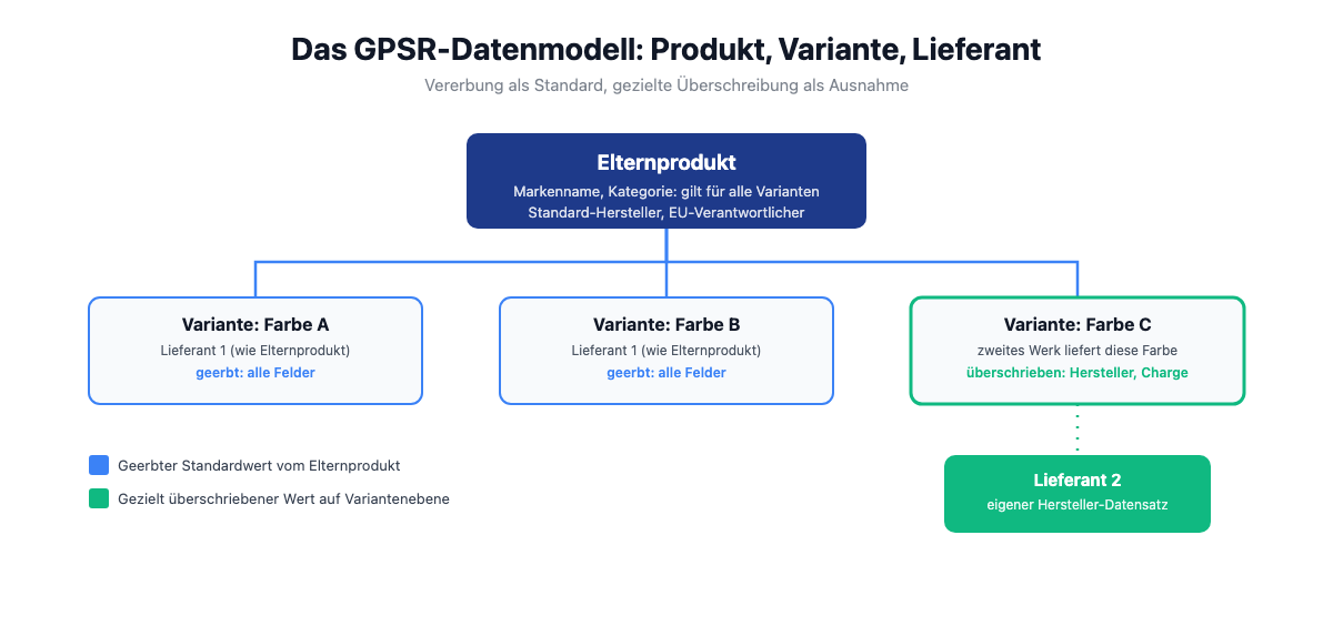Datenmodell-Infografik: Elternprodukt vererbt GPSR-Basisdaten an Varianten, einzelne Varianten überschreiben Hersteller- und Lieferantenangaben gezielt